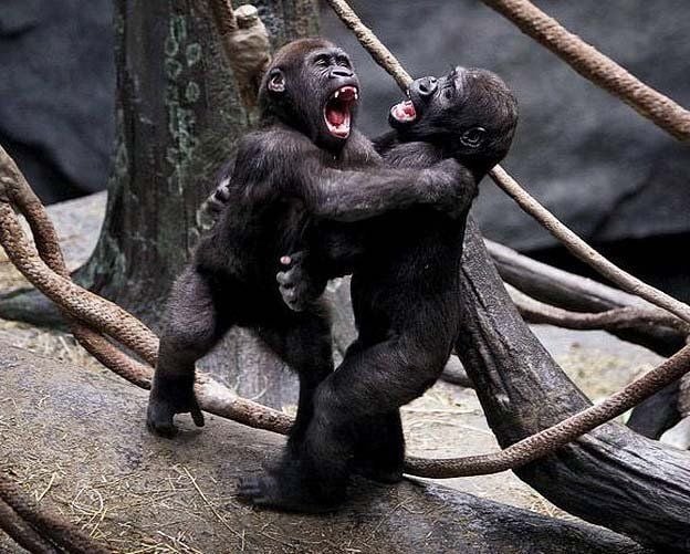 Funny picdump (129 pics)