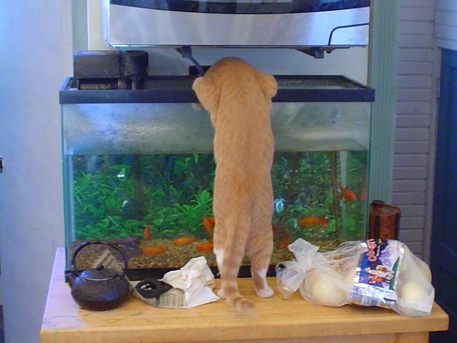 Funny picdump (129 pics)