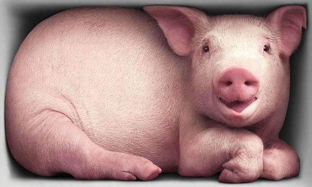 Funny picdump (129 pics)