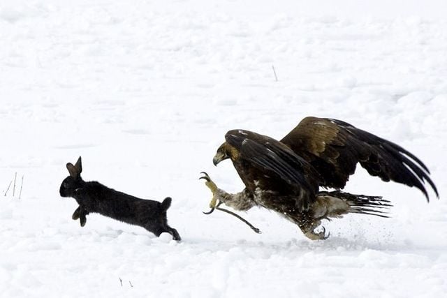 Funny picdump (129 pics)