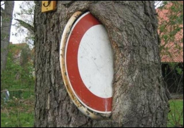 Funny picdump (129 pics)