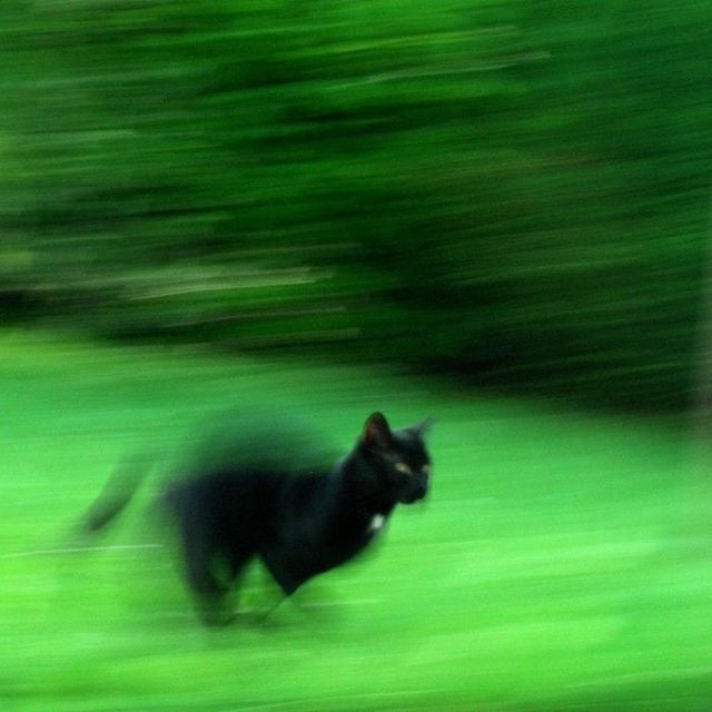 Funny picdump (129 pics)