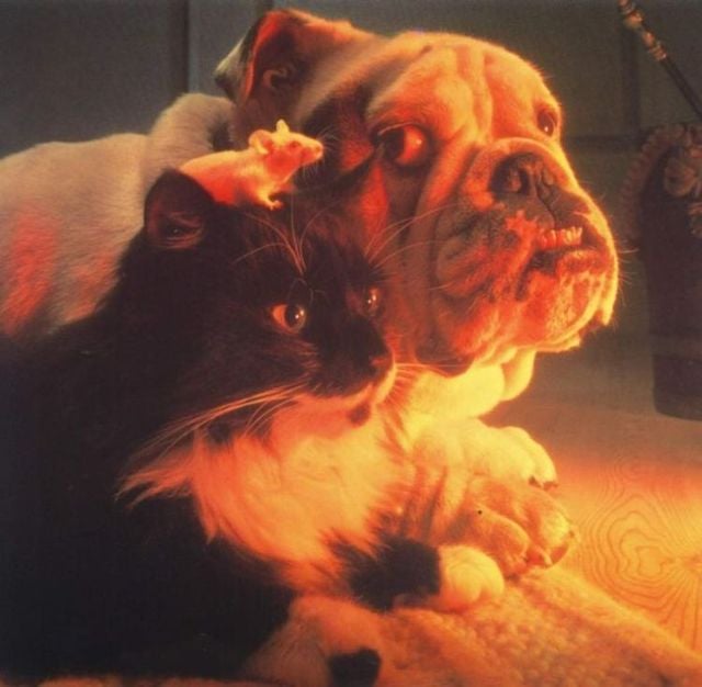 Funny picdump (129 pics)