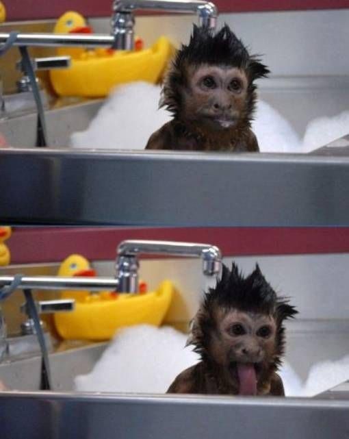 Funny picdump (129 pics)