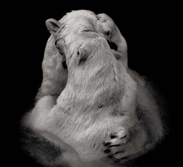 Funny picdump (129 pics)