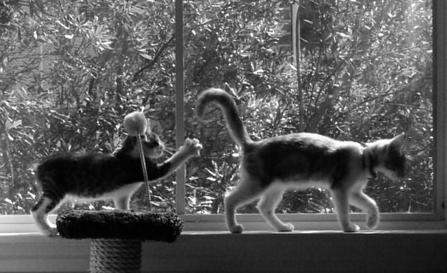 Funny picdump (129 pics)