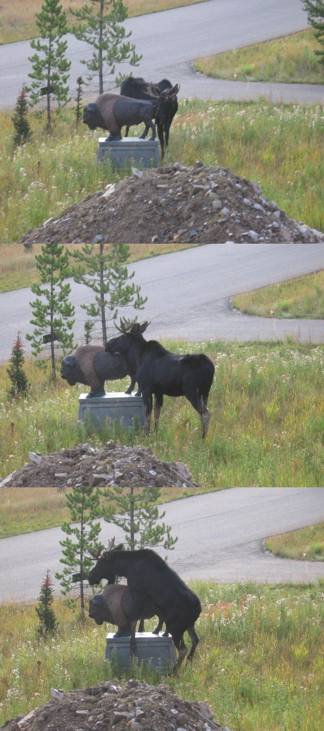 Funny picdump (129 pics)