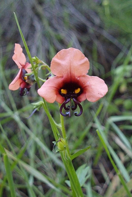 Funny picdump (129 pics)