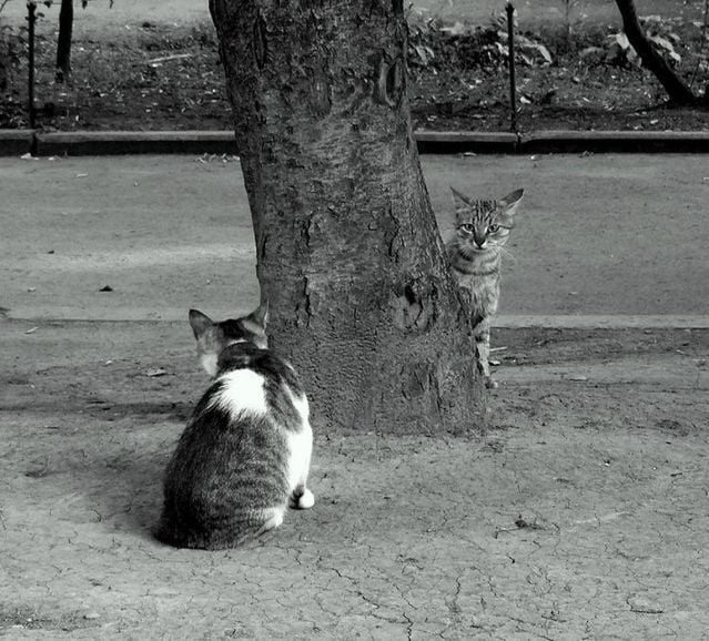 Funny picdump (129 pics)