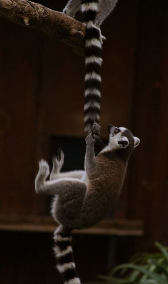 Funny picdump (129 pics)