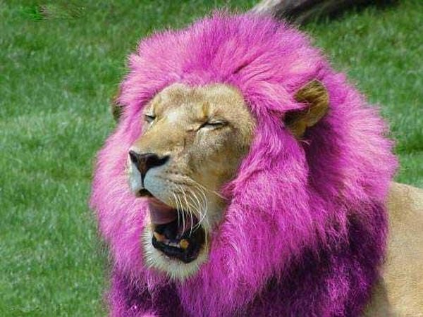 Funny picdump (129 pics)