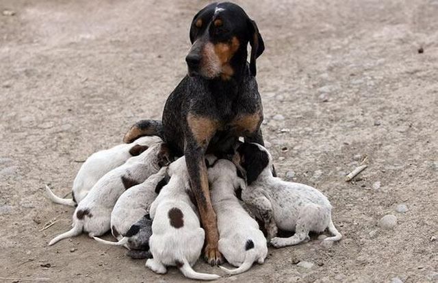 Funny picdump (129 pics)