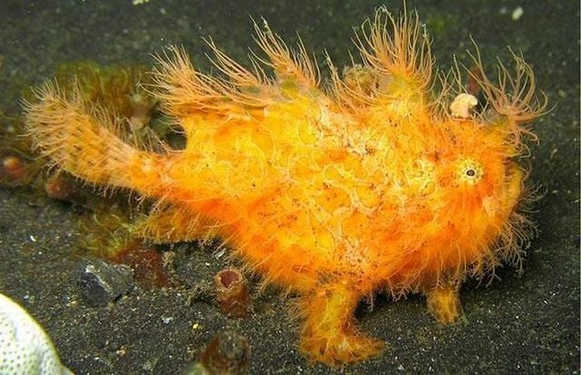 Funny picdump (129 pics)