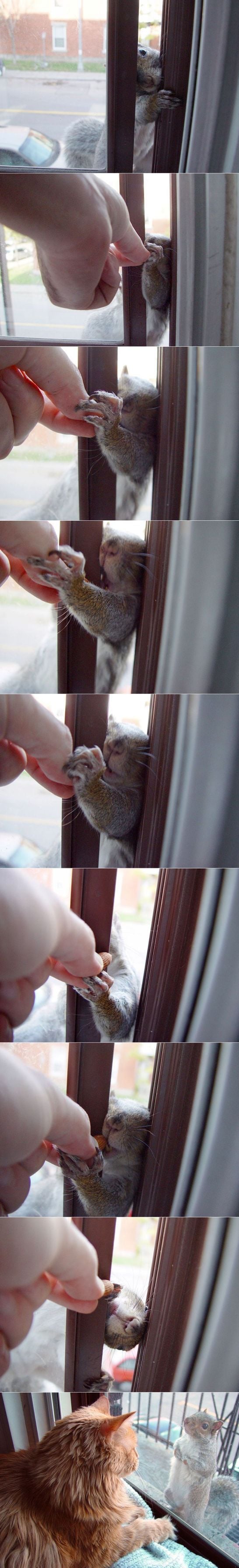 Funny picdump (129 pics)