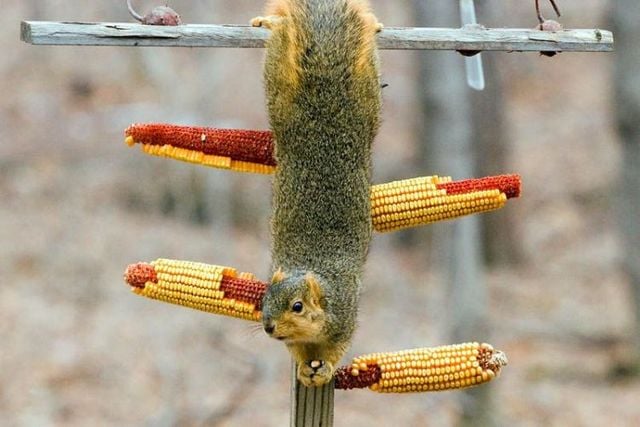 Funny picdump (129 pics)