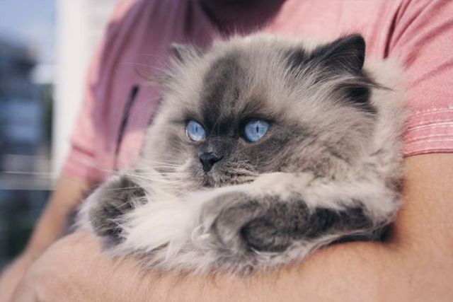 Funny picdump (129 pics)