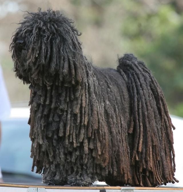 Funny picdump (129 pics)