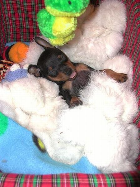 Funny picdump (100 pics)