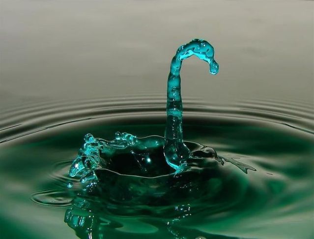 Funny picdump (100 pics)