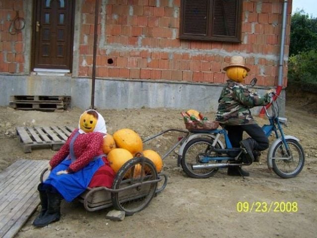 Funny picdump (116 pics)