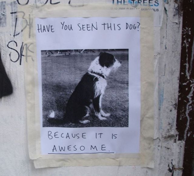 Funny picdump (116 pics)