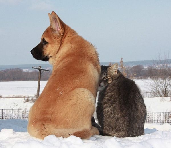 Funny picdump (146 pics)