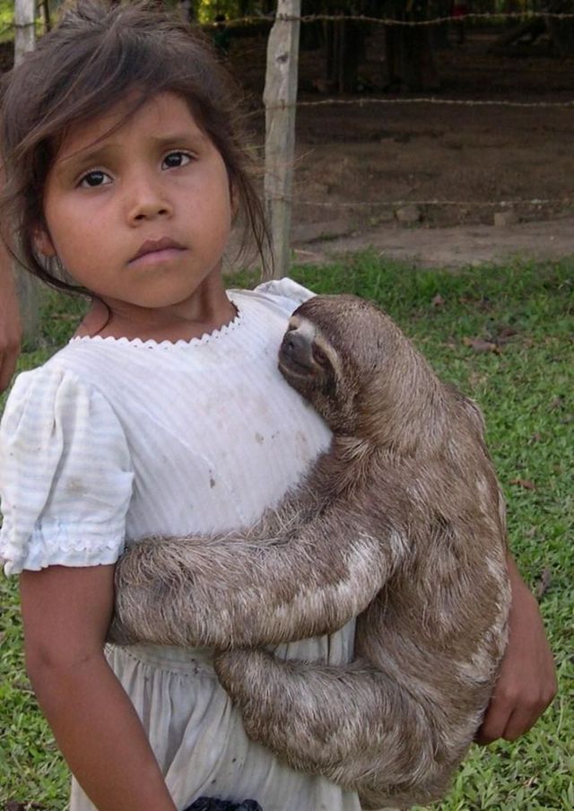 Funny picdump (146 pics)