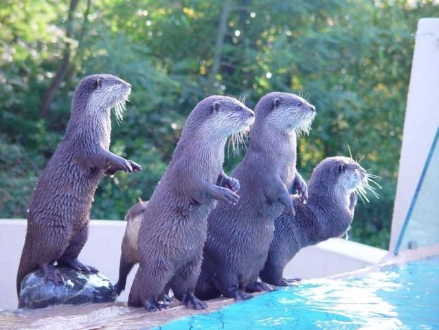 Funny picdump (146 pics)
