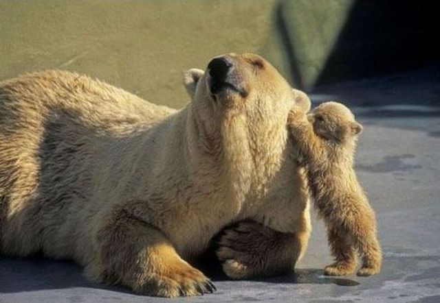 Funny picdump (146 pics)