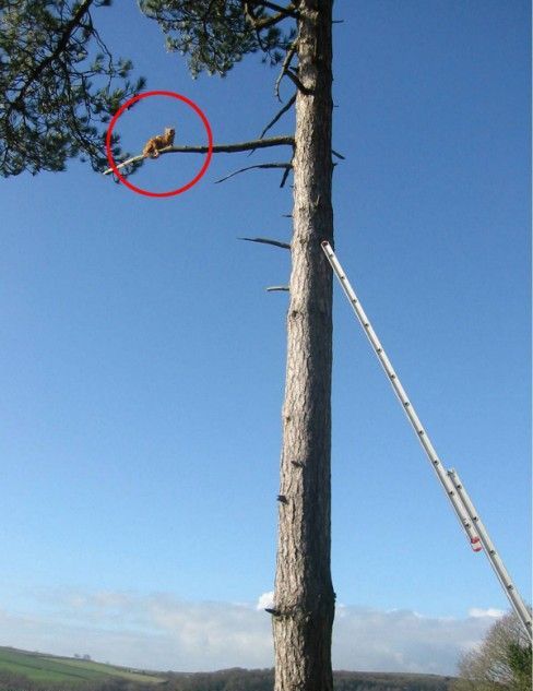 Funny picdump (146 pics)
