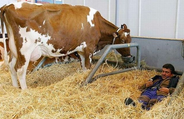 Funny picdump (146 pics)