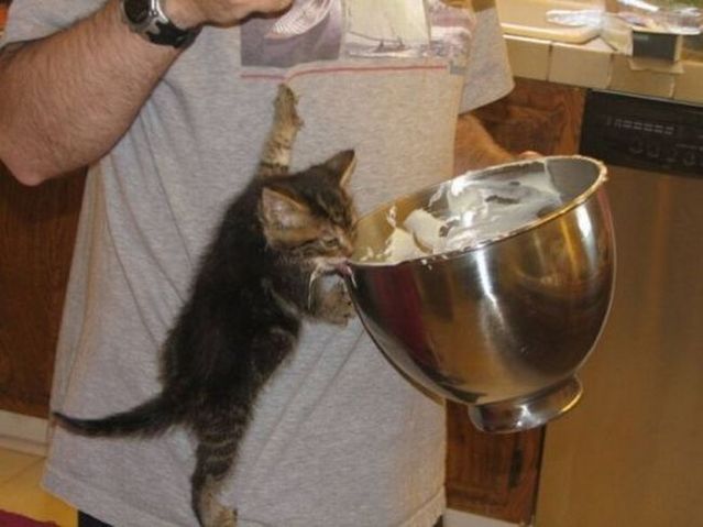 Funny picdump (146 pics)