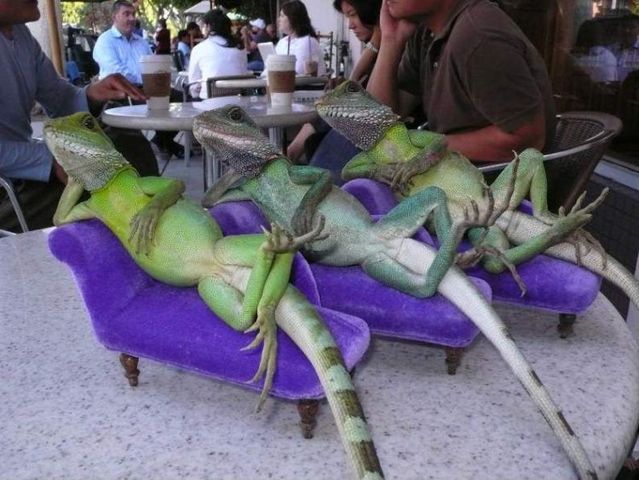 Funny picdump (146 pics)