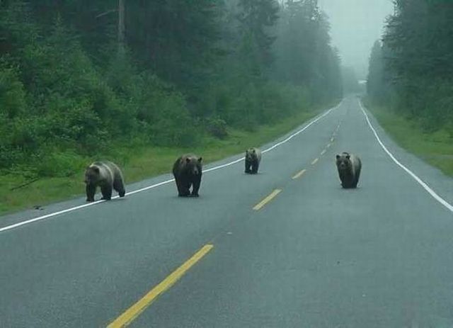 Funny picdump (146 pics)
