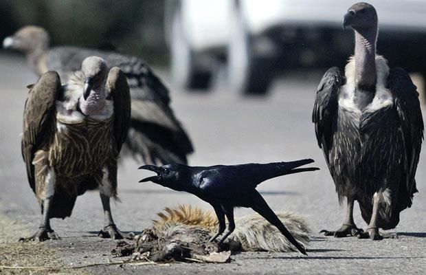 Funny picdump (146 pics)