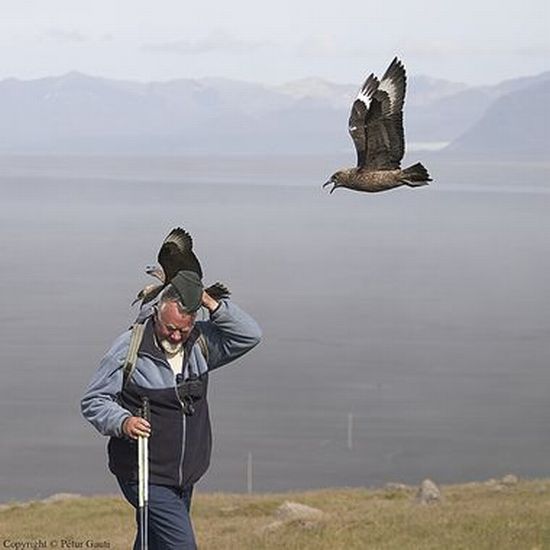 Funny picdump (115 pics)