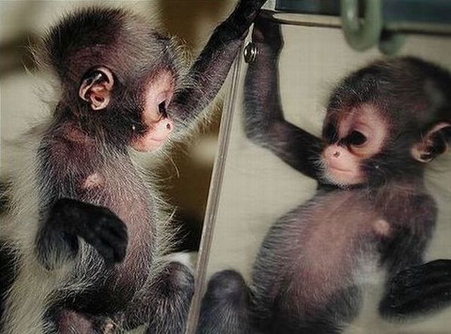 Funny picdump (133 pics)