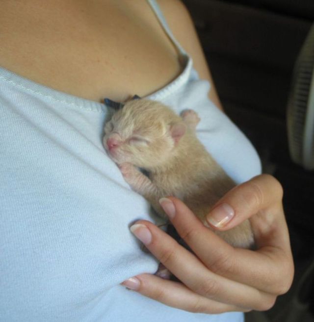 Funny picdump (133 pics)