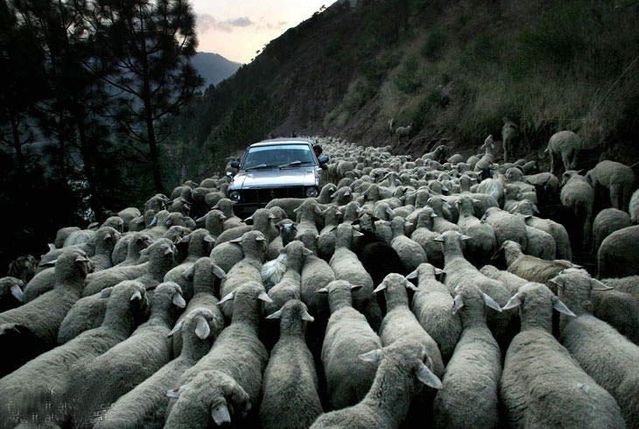 Funny picdump (133 pics)