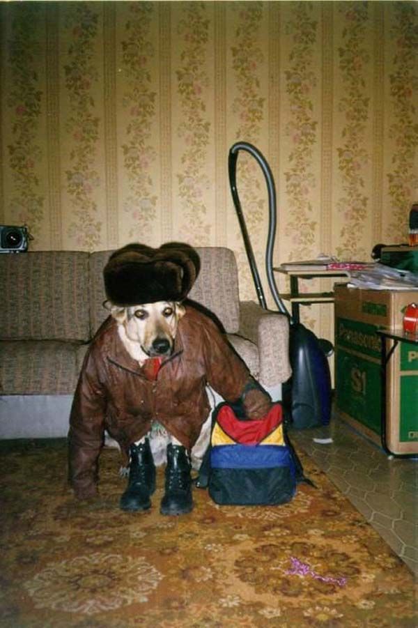 Funny picdump (133 pics)