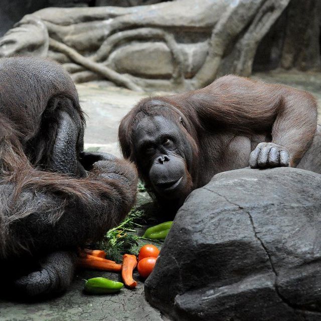 Funny picdump (133 pics)