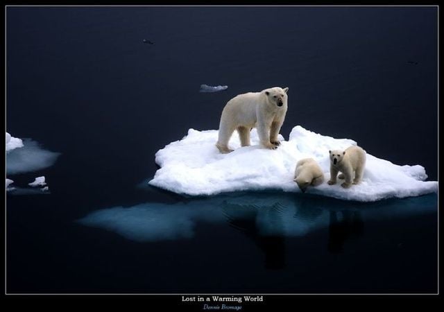 Funny picdump (133 pics)