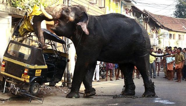 Funny picdump (133 pics)