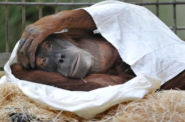 Funny picdump (133 pics)