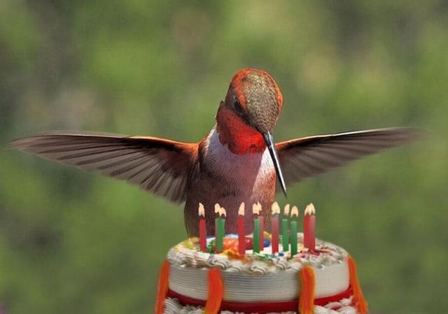 Funny picdump (133 pics)