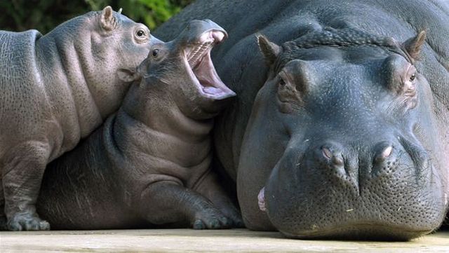 Funny picdump (122 pics)