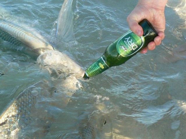 Funny picdump (122 pics)