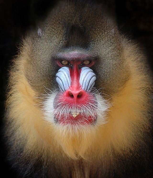 Funny picdump (122 pics)