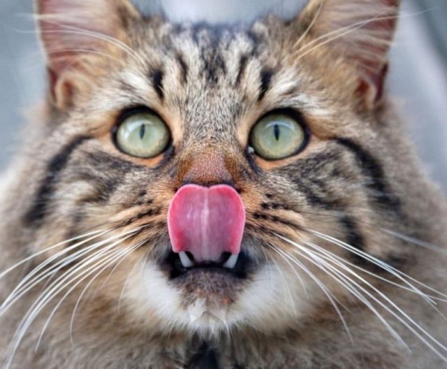 Funny picdump (122 pics)