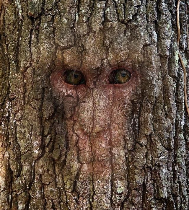 Funny picdump (111 pics)